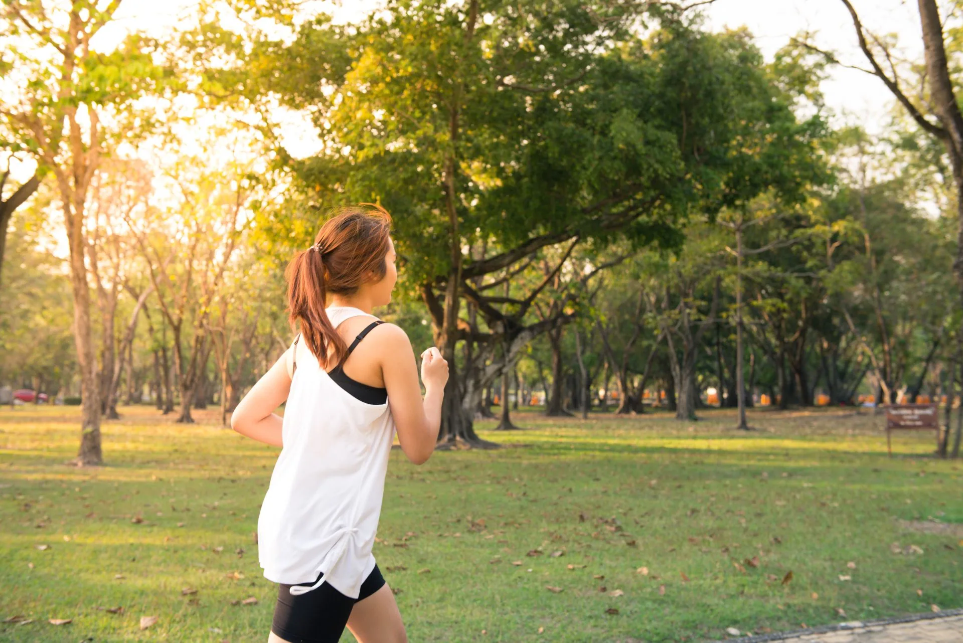 Woman jogging along a tree-lined park path